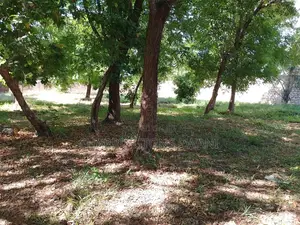 1⁄2 Acre Plot | 4th Row Diani | Private Well | Walk to Beach Airport