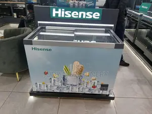 Hisense Showcase Ice Cream Freezer 213litres Glassdoor