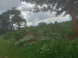 52acres Prime Land for Sale Kiambu County