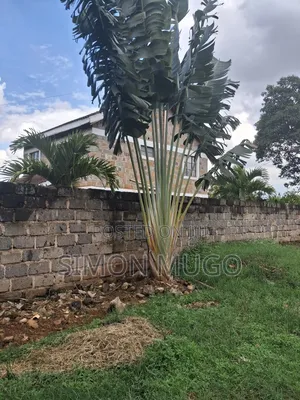 Thome Very Prime Residential 1/2 Ac Behind Safari Park Hotel