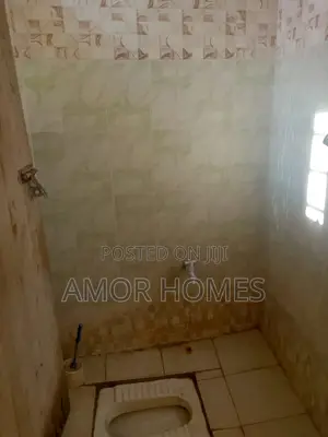 1bdrm Bedsitter in Palestina, Mtambo for rent