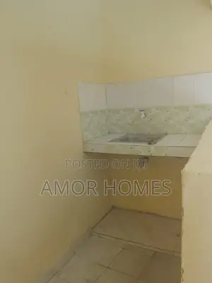 1bdrm Bedsitter in Palestina, Mtambo for rent