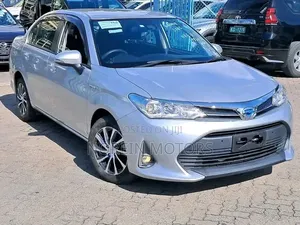 Toyota Axio 2019 Silver