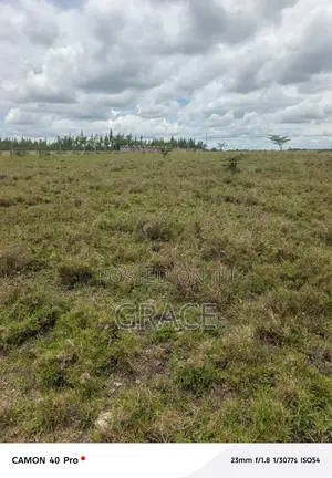 Prime Mbuni Gardens (Near Ostrich Farm)Plots for Sale
