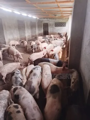 Agriculture