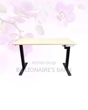 Transform Productivity - Electric Desk All-Day Movement for Office