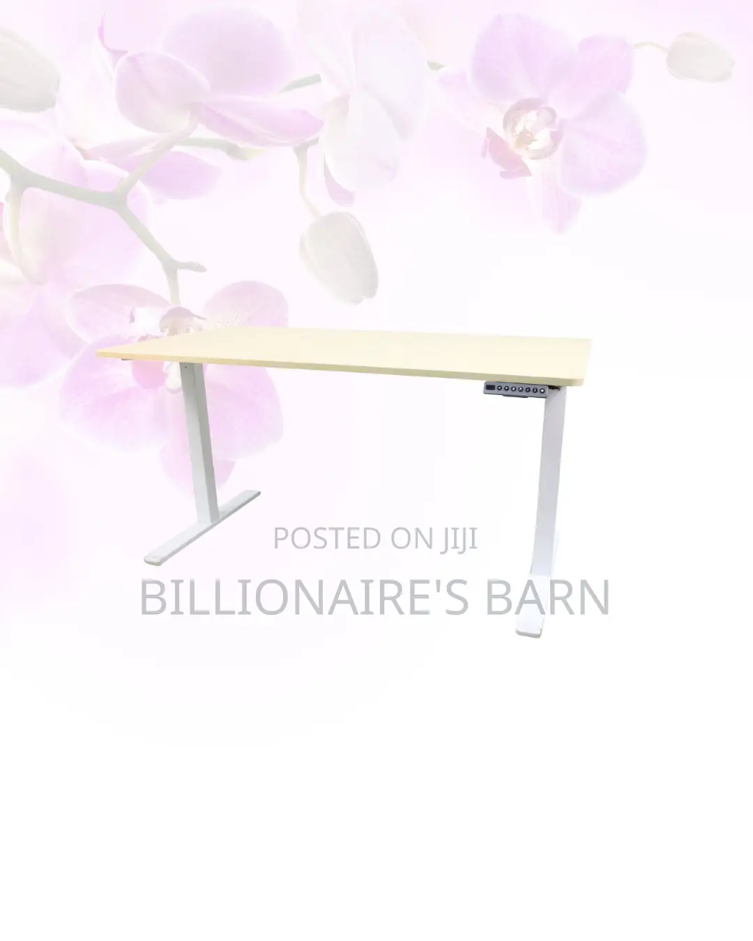 Transform Productivity - Electric Desk All-Day Movement for Office