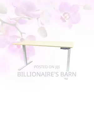 Transform Productivity - Electric Desk All-Day Movement for Office