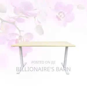 Transform Productivity - Electric Desk All-Day Movement for Office