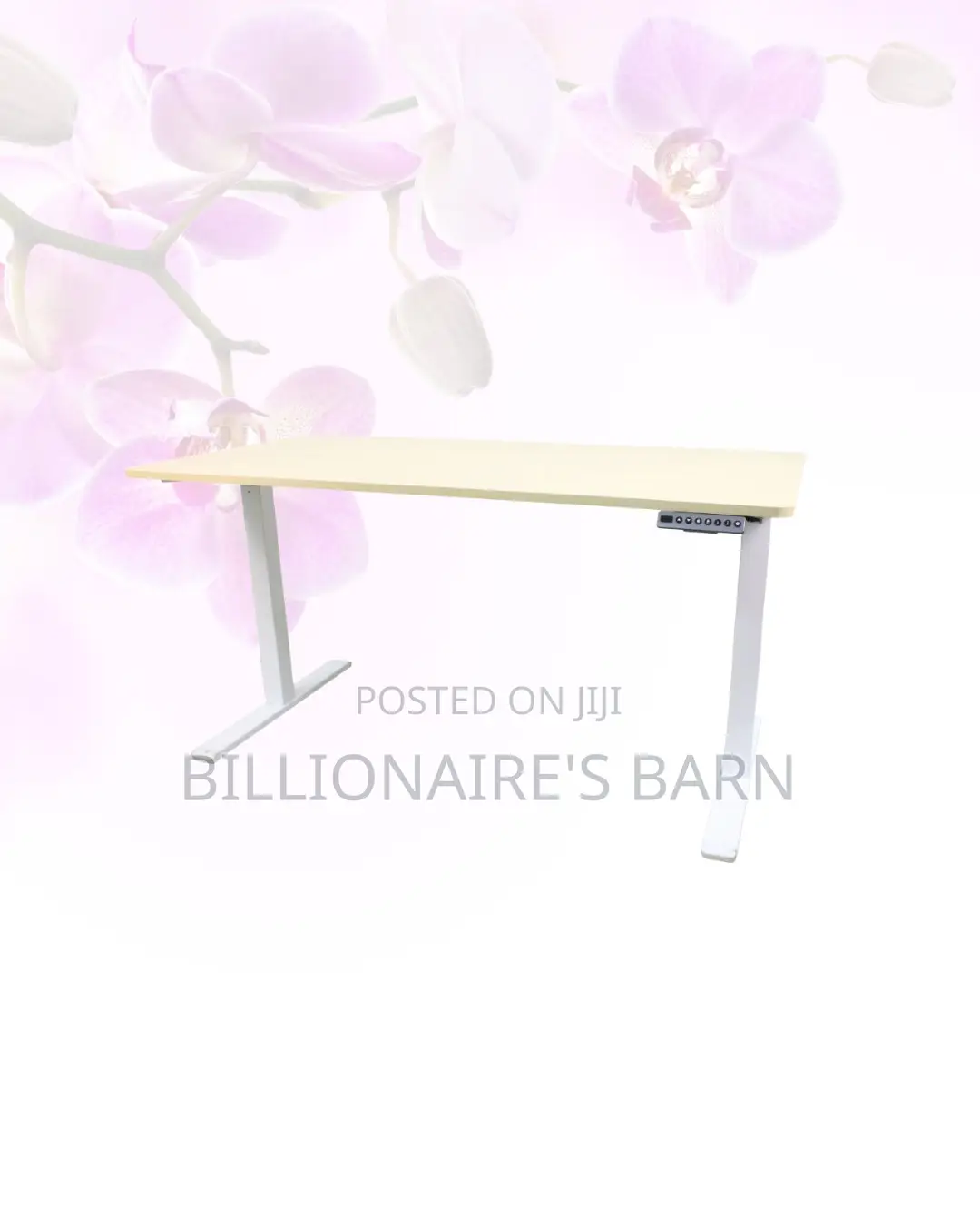 Transform Productivity - Electric Desk All-Day Movement for Office