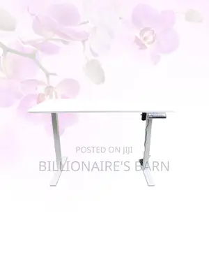 Transform Productivity - Electric Desk All-Day Movement for Office