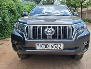 Toyota Land Cruiser 2010 Brown