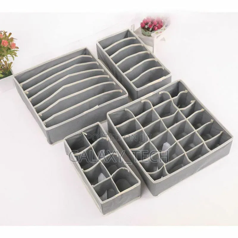 4pcs Set Undergarments Organizers
