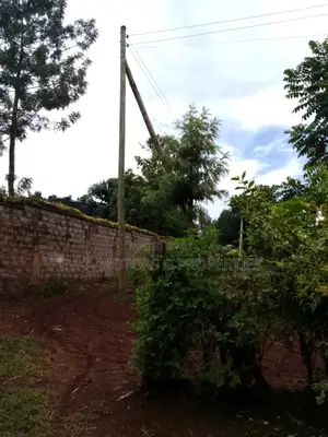 41⁄2acres Maragwa Summary