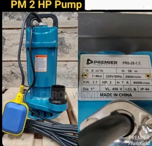 Premier 2hp Submersible Water Pump/2hp Submersible Water Pump