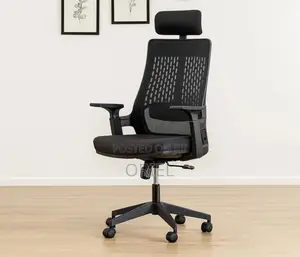 Modern Office Chair : Orthopedic Office Chair