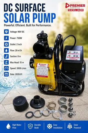 Premier Solar Dc Surface Water Pump
