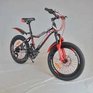 Title: Unirox 20” Bicycle – Stylish Reliable Kids Ride
