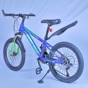 Crossroad Kids 20 Inch Bike – Smooth Ride Guarantee