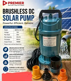 Premier Dc Brushless Solar Pump/Brusydc Solar Pump