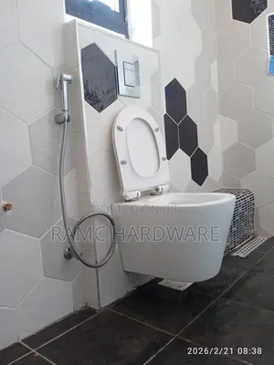 Hanging Toilet