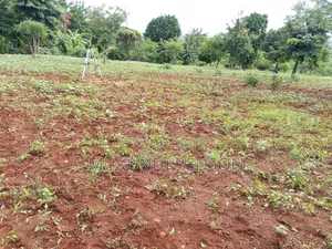 1 Acre of Land