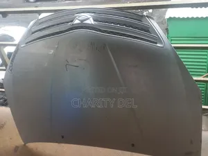 Bonnet Allion 2005