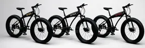 Fat Tyre Mountain Bike Sh-Lv002