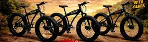 Fat Tyre Mountain Bike Model Dh-Lv002