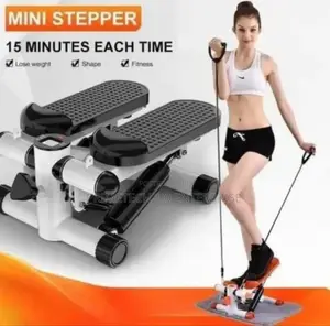 Ab Mini Stepper for Gym