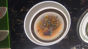 Unique Design 500mm Fullmoon Tricolour Modern Circular Ceiling Light