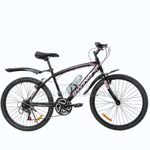 New Swing Adult Bike – Smooth Gears Strong Tires