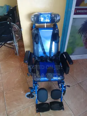 Cerebral Palsy Wheelchair Adult