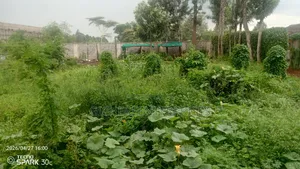 Garden Estate Plot