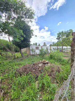 3 Pieces of 1/4 Acre Each Diani Bogani Villa Area for Sale