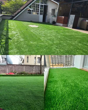 Artificial Green Grass Carpets in Low Budget Maintenance