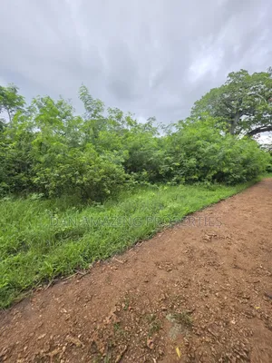 2 Pieces of 1/4 Acre Each Diani Behind Sunderowner for Sale