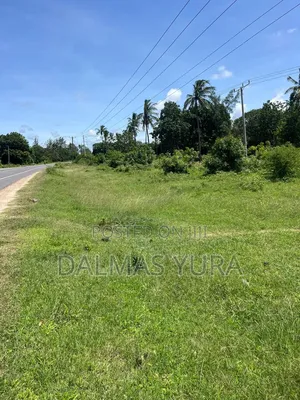 3 Acres Land at Gede