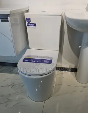 Good Top Flushing Toilet Available