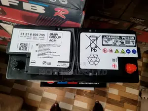 BMW Din105mf Agm (12v/105ah) Car Battery