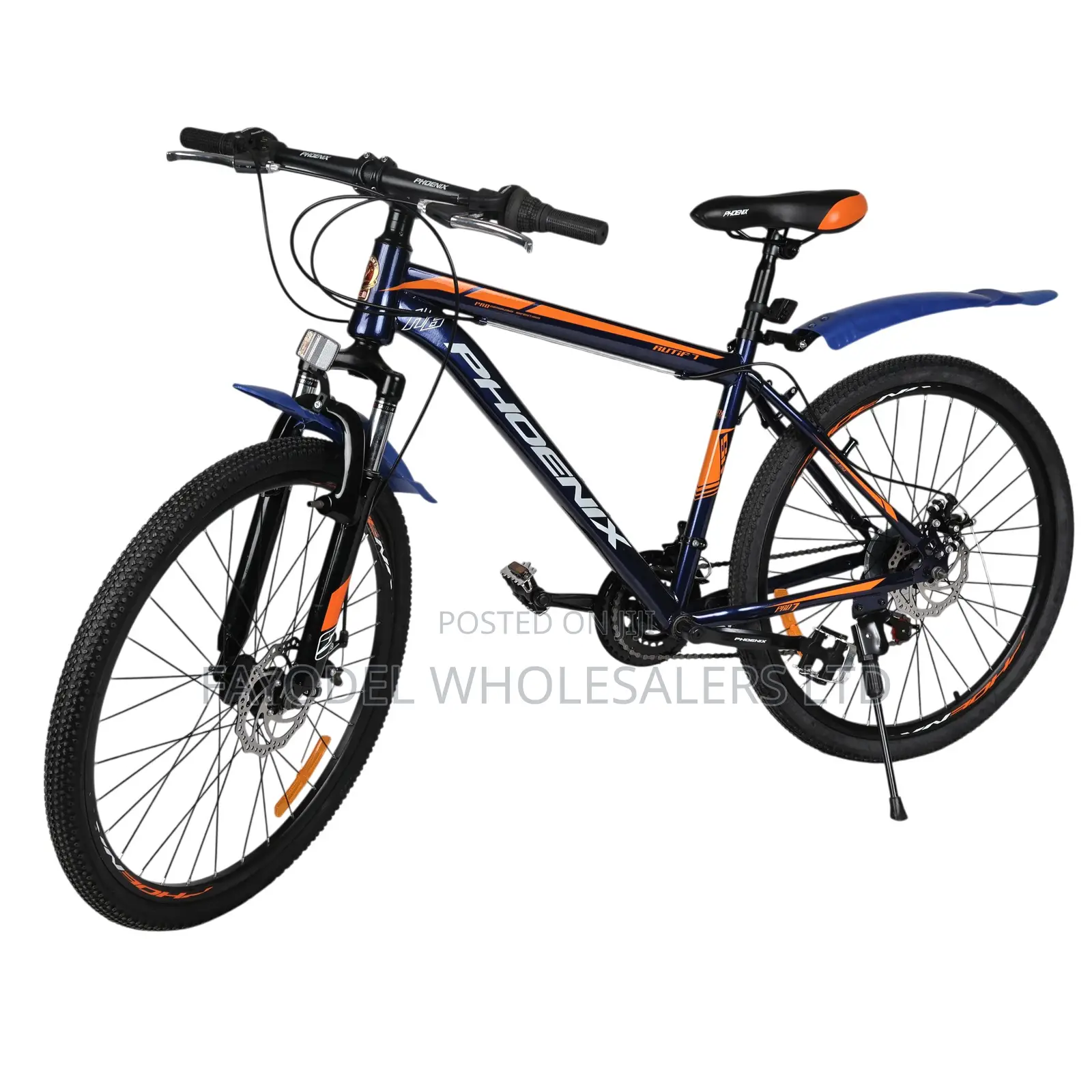Phoenix Mountain Bike – Strong Frame, Smooth Ride