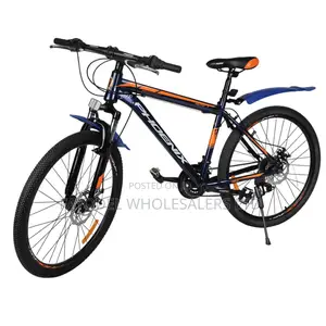 Phoenix Mountain Bike – Strong Frame, Smooth Ride