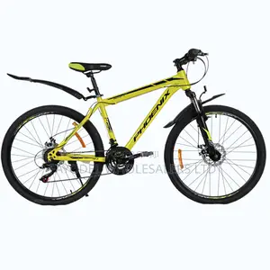 Phoenix Classic Bike – Comfortable Strong