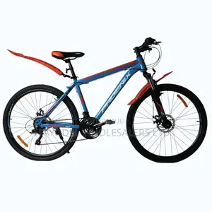 Phoenix Bicycle – Best Value for Money