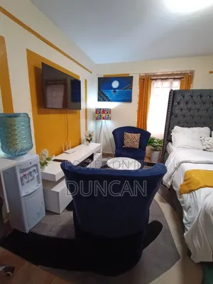 Studio Airbnb TRM DRIVE Roysambu 1500