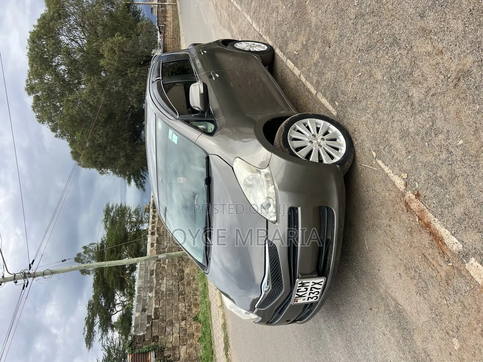 Toyota Ractis 2011 Brown