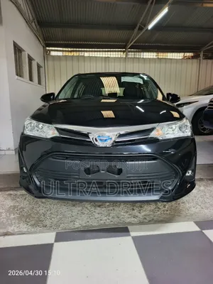 Toyota Corolla Fielder 2019 Black