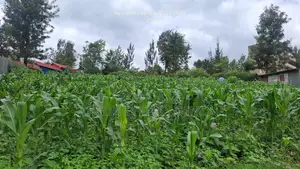 One-of-a-Kind Commercial Plot in Ngong Town