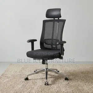 Executive Office Orthopaedic Chair