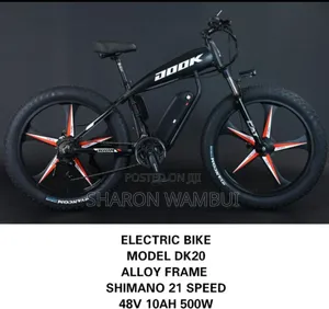Quality Dook Electric Bike/New Dook Electric Bike